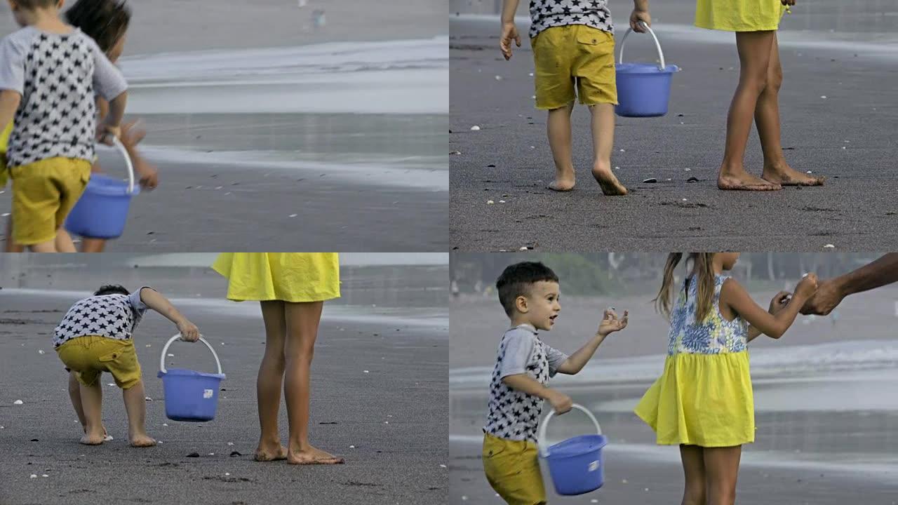 孩子们和父亲在海边捡拾贝壳