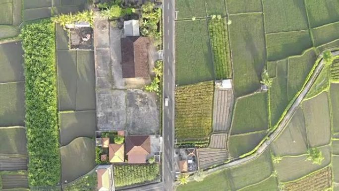 高角度视野的道路通过田野