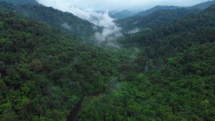 Khao sok国家公园的4k鸟瞰图和薄雾笼罩的热带雨林的倾斜。