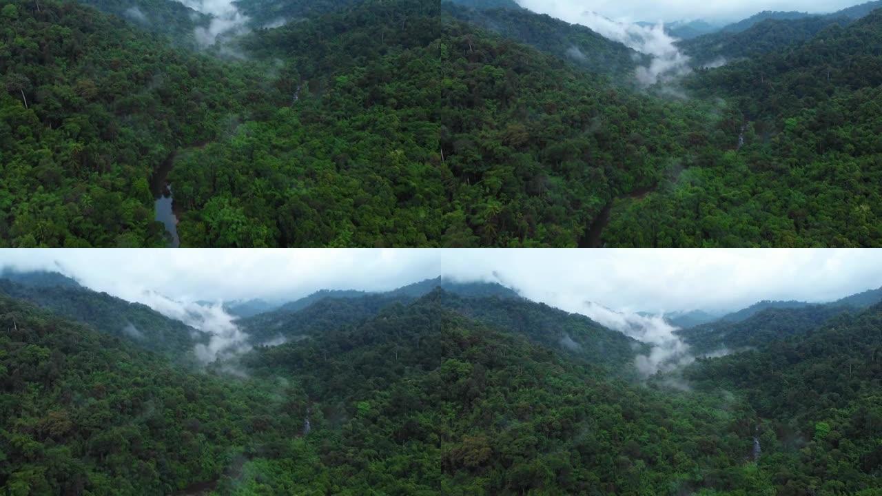 Khao sok国家公园的4k鸟瞰图和薄雾笼罩的热带雨林的倾斜。