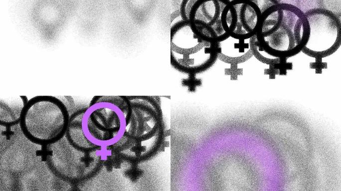 女性：一个紫色，白色的背部-（过渡）