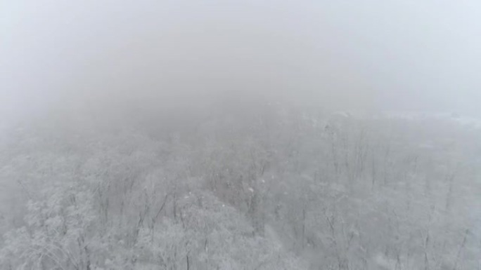 4k空中无人机视点雪落在森林田园诗般的白色树梢上，实时