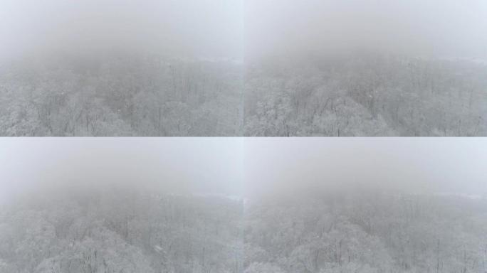 4k空中无人机视点雪落在森林田园诗般的白色树梢上，实时