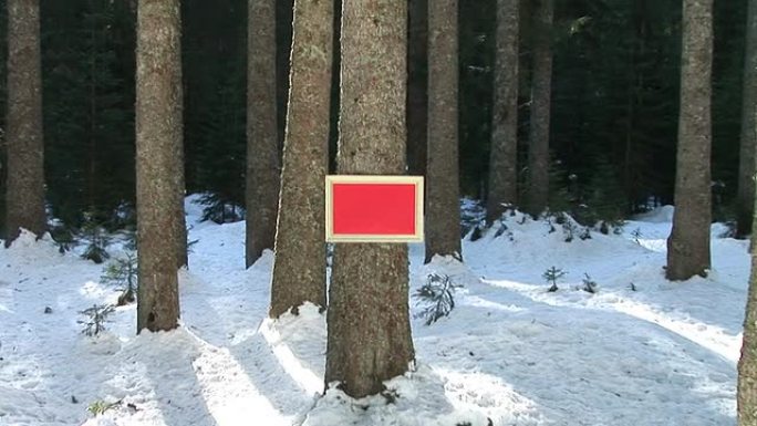 高清: 树林中的留言板