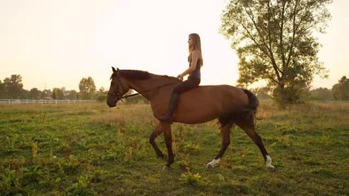 慢动作: 年轻女子在金色的夏日日落时在草地上赤裸着骑