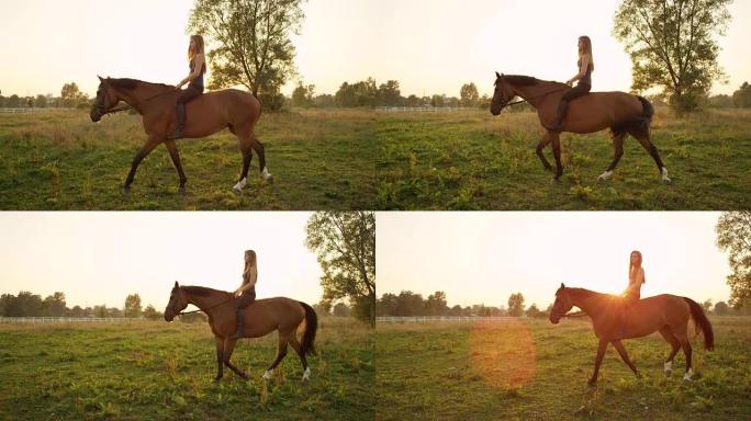 慢动作: 年轻女子在金色的夏日日落时在草地上赤裸着骑
