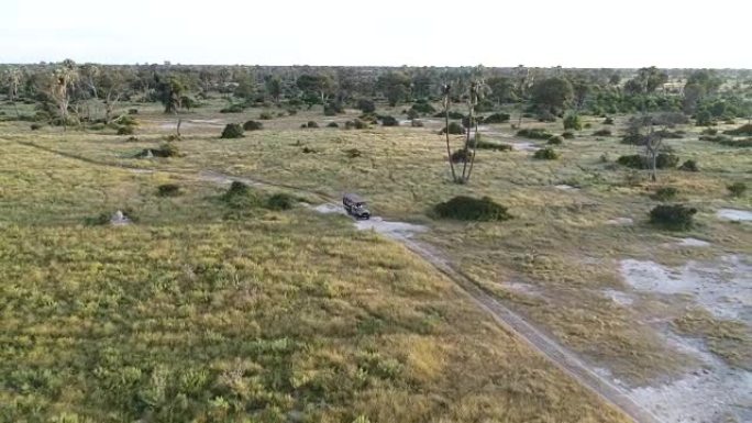 鸟瞰图一辆游猎汽车通过奥卡万戈三角洲的灌木丛