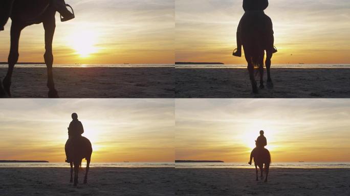 海滩上骑马的年轻骑手的剪影朝着日落的光线移动。后视图。