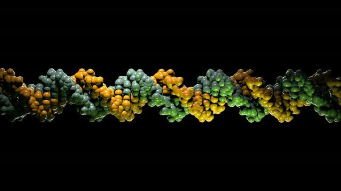 DNA分子模型-HD1080