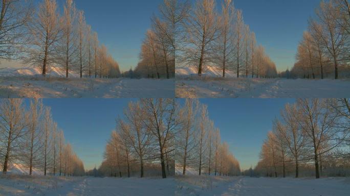 日落时分的冬季道路