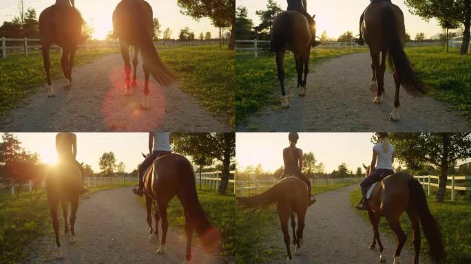 慢动作: 两个朋友骑马骑强壮的棕色马进入日落