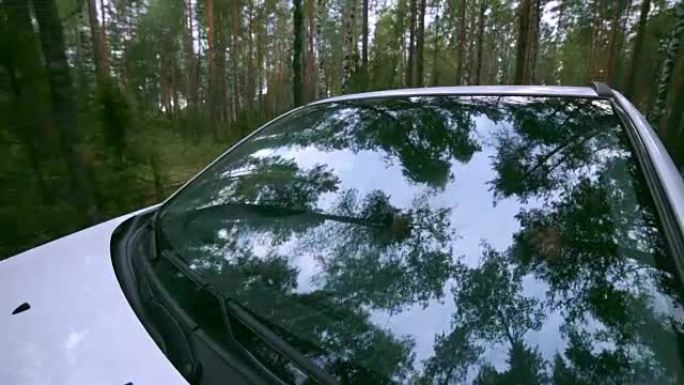 树木，挡风玻璃中的森林反射。汽车驶过森林。车载摄像机