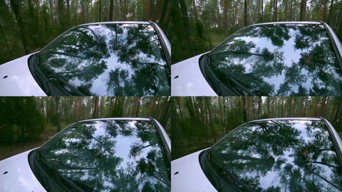 树木，挡风玻璃中的森林反射。汽车驶过森林。车载摄像机