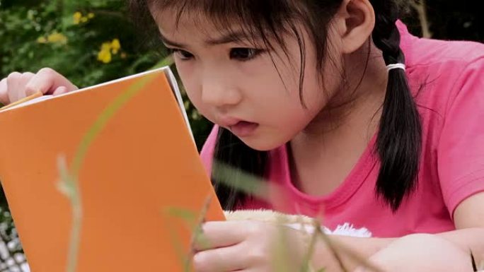 儿童小女孩在公园里读故事书准备上学，肖像脸孩子在草地草地上读游戏书夏天花户外自然特写