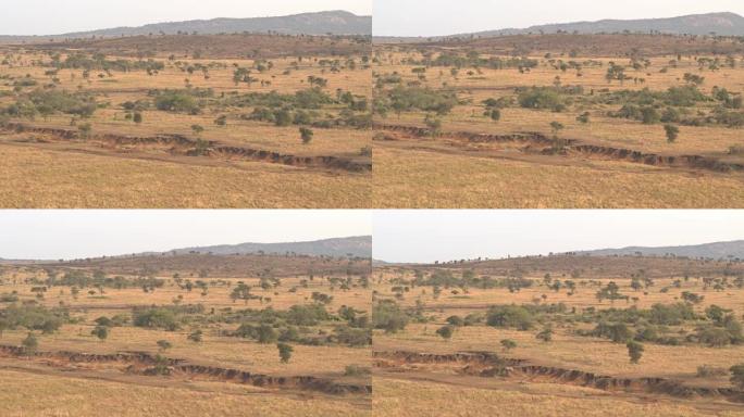 空中: 干旱季节在金色的日落时分的非洲大草原景观