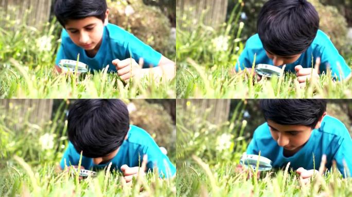 可爱的男孩用放大镜看着草