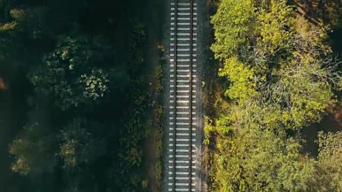 秋天森林中火车轨道的鸟瞰图。挑战人生旅程、通往未来之路、追逐梦想的概念