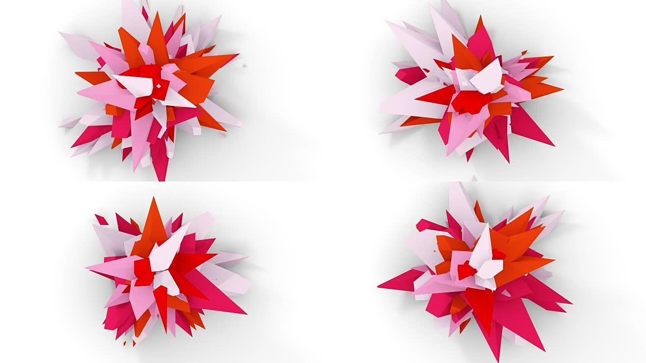 4K.抽象数字花。粉色、白色和红色的版本。无缝循环。