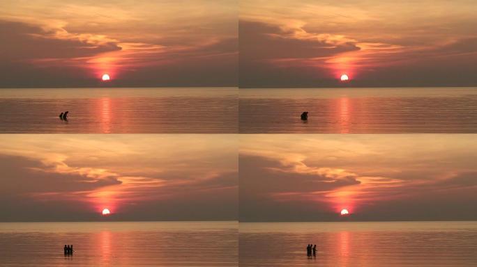 日落时的三个男孩人物剪影红云夕阳