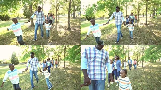 扩展的非裔美国人家庭在公园散步
