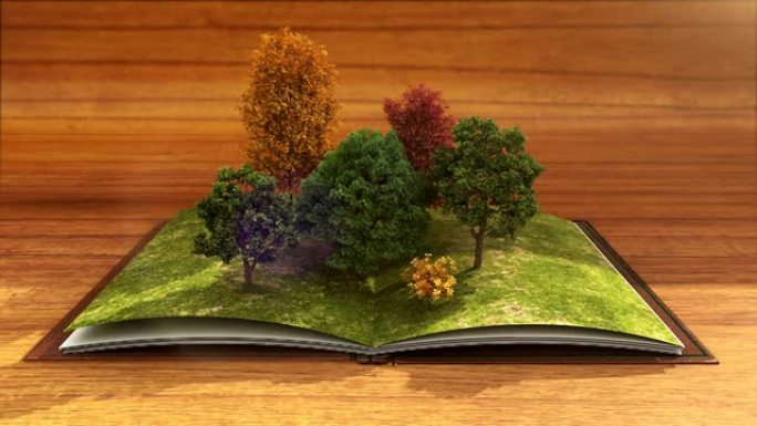 打开的书使森林树，自然棕色背景。