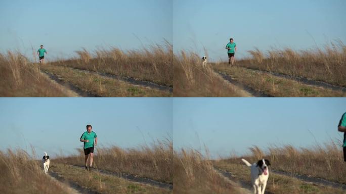 跑步者和狗狗