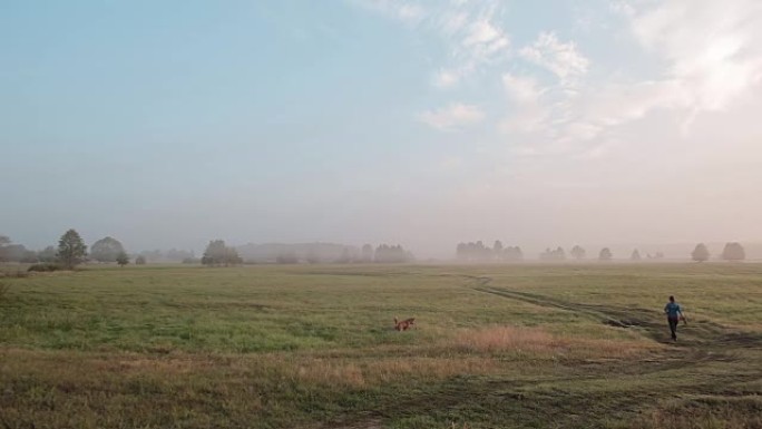 一只蓬松的红色狗在狩猎老鼠，在夏天的草地上愉快地挥舞着尾巴。一名走在乡间小路上的当地妇女