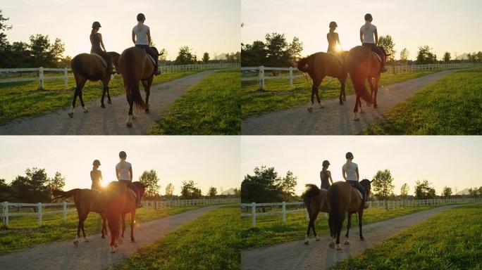 慢动作: 两个朋友骑马骑着强大的棕色马进入日落