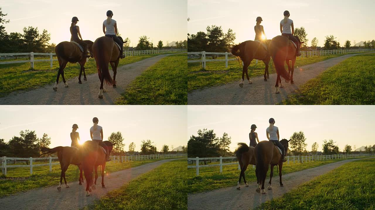 慢动作: 两个朋友骑马骑着强大的棕色马进入日落