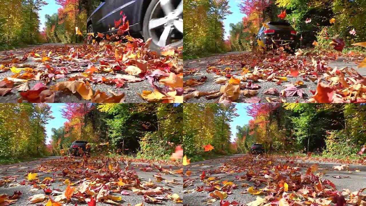 慢动作特写: 五颜六色的秋叶在一辆驶过的汽车后面盘旋