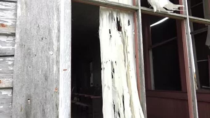 特写: 透过窗户看着破旧的鬼屋的教室