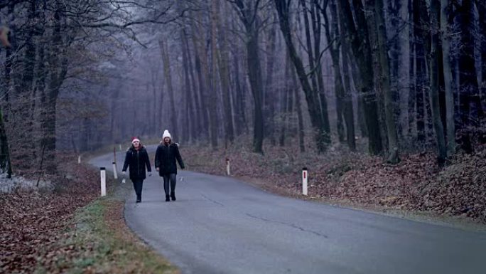 DS两个女孩带着灯笼走在森林里的路上