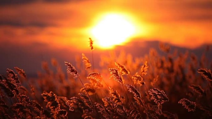 冬日湖日落傍晚晚霞夕阳暮光自然风光