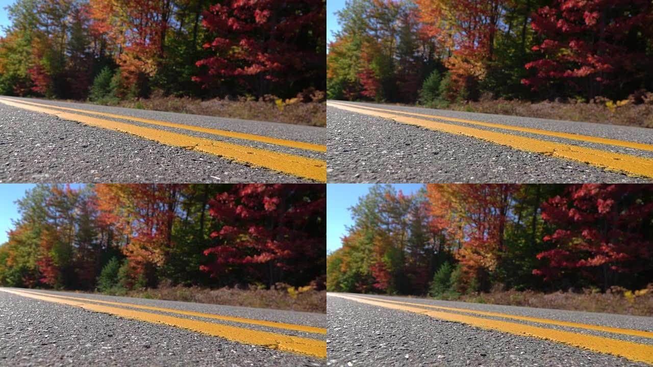 特写镜头: 秋季双黄线穿过五颜六色的森林