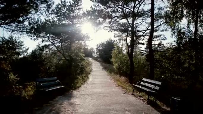 穿过绿地的道路的景色，对面有树木和两个长凳