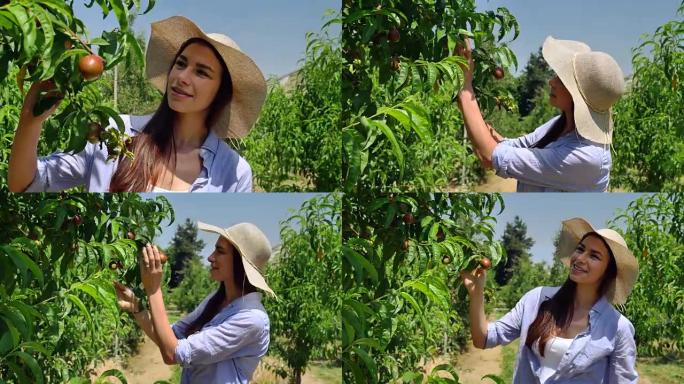 一个戴着草帽的美丽女孩在阳光明媚的日子里看着种植园。概念: 生物产品，天然产品，新鲜，美味，水果，蔬