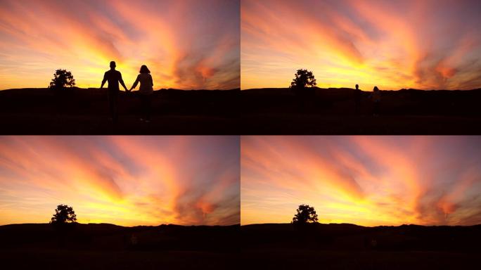 WS夫妇在日落时在草地上散步时牵手