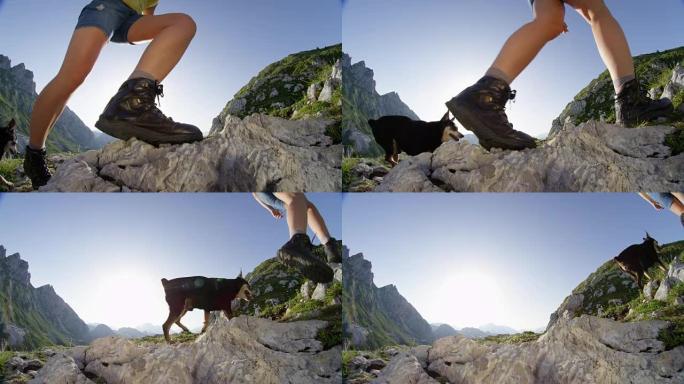 慢动作特写镜头，镜头耀斑: 不知名的女人和高级狗一起爬坡。
