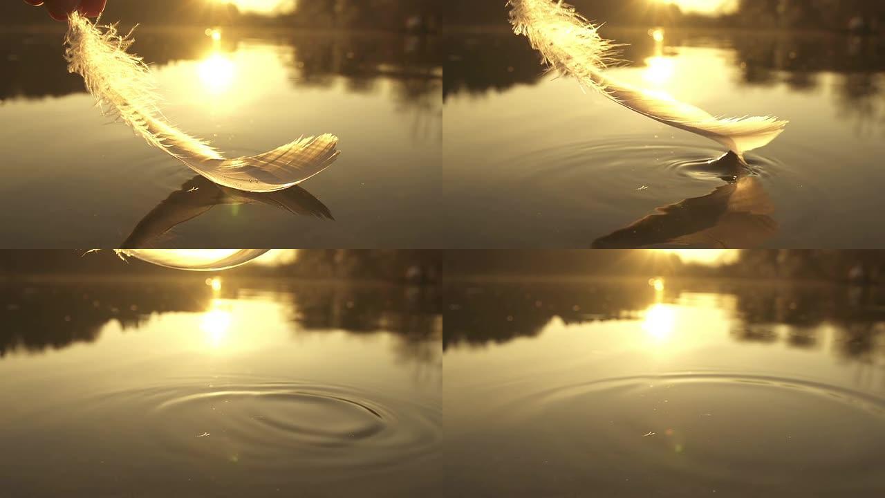 慢动作: 将羽毛从水中取出