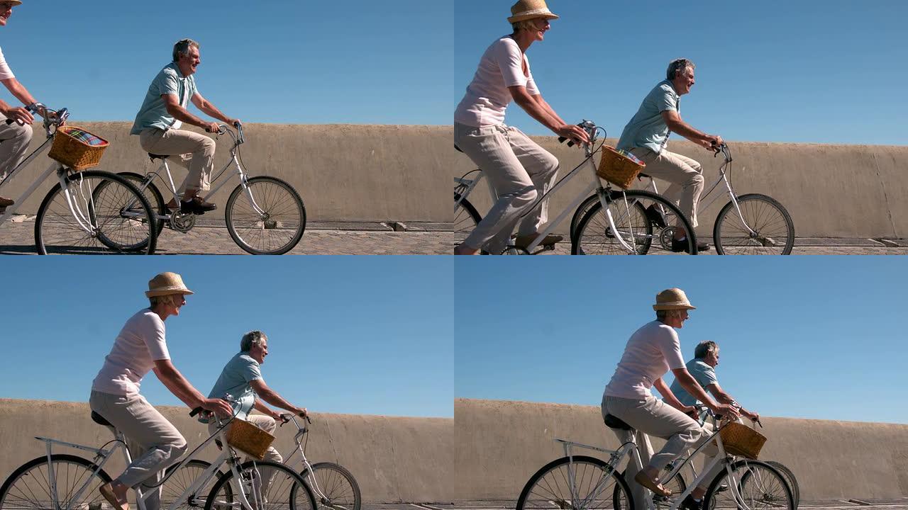 高级夫妇骑自行车