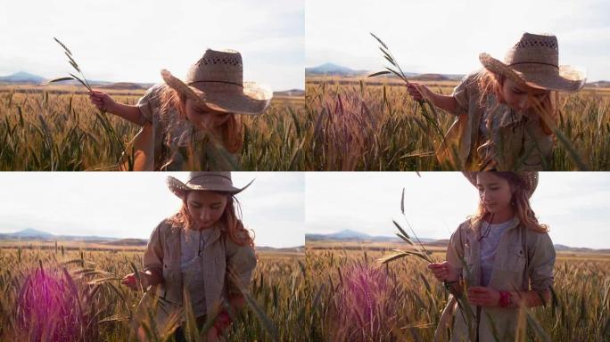 年轻的女农业农民从田间采摘小麦