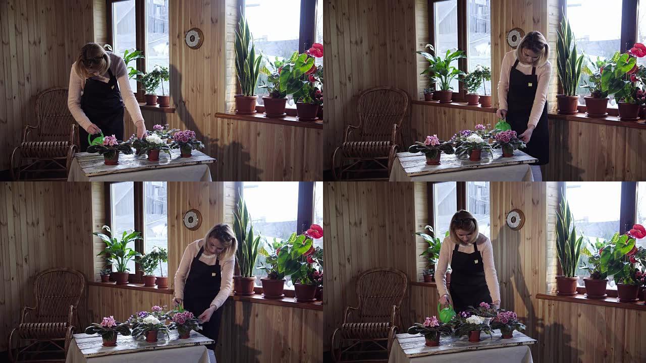 年轻女子在家中浇花