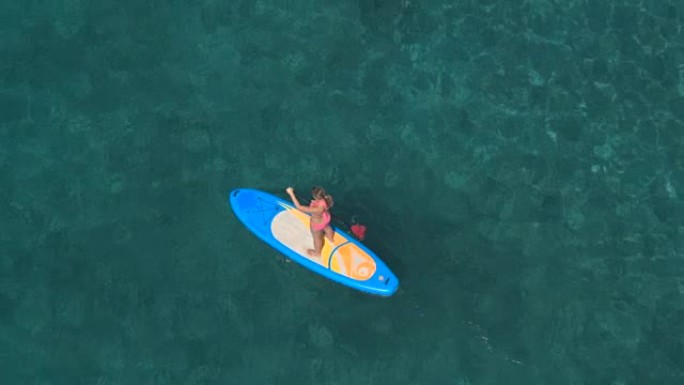 空中特写: 活跃的年轻女子在热带海洋中骑立桨板