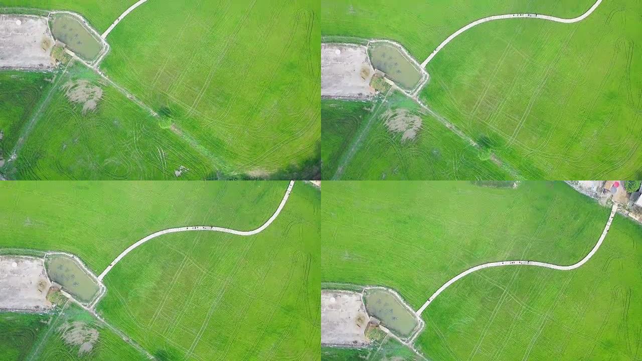 泰国那空的田野和竹桥景观