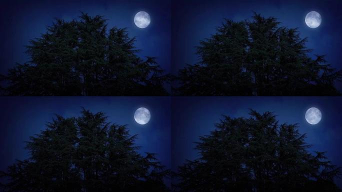 大风之夜有月亮的大树