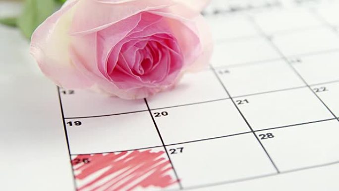 日历上的粉红玫瑰