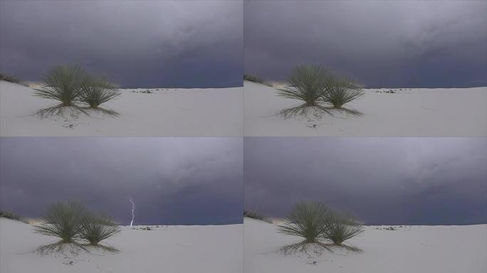 雷暴闪电袭击沙漠中的肥皂树仙人掌灌木丛