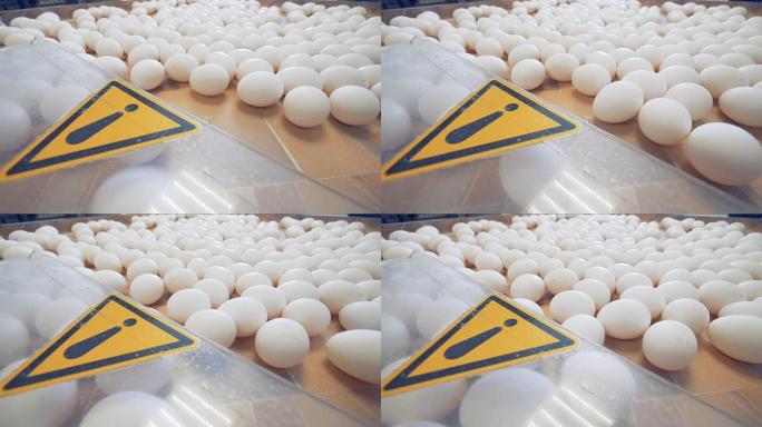 警告，工厂警告标志。鸡蛋分类输送机上的警告标志。