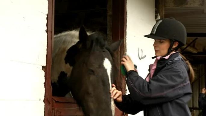 漂亮的黑发马在马stable里喂马