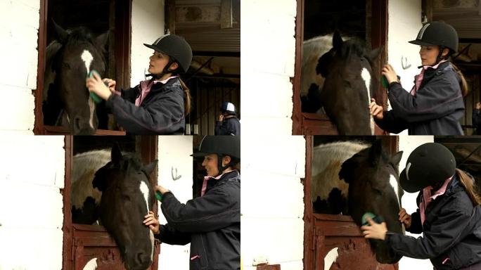 漂亮的黑发马在马stable里喂马